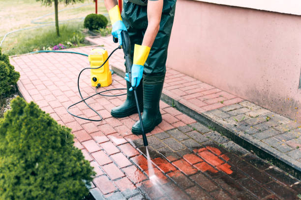 Best Roof Cleaning and Mildew Removal in Inez, TX